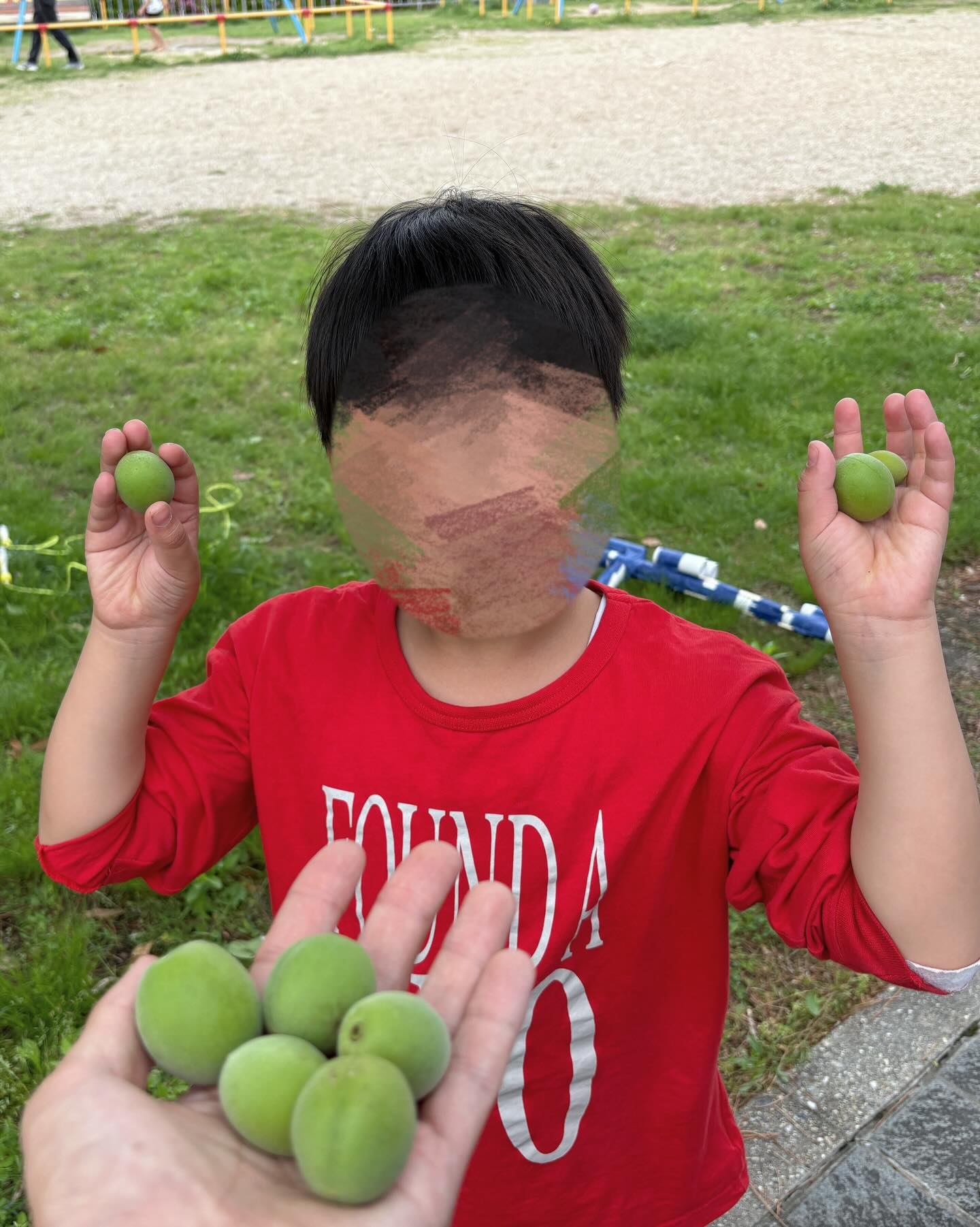 最近、公園で梅の実を見つけたんですよ🍑!子ども達と一緒に見る...